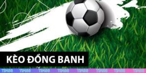 bẫy kèo đồng banh Tim88